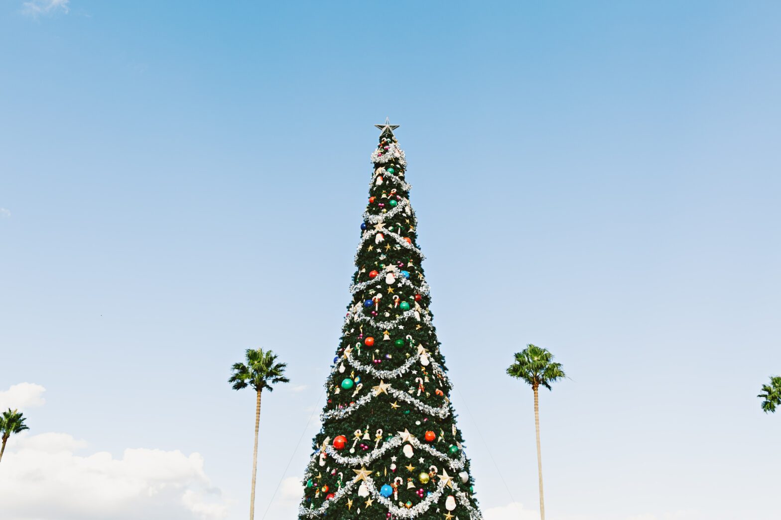 A Christmas tree photographed against a blue sky with palm trees in the background. Goodwill Amity is having a Christmas in July sale!