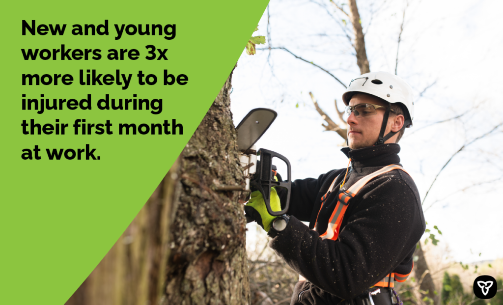 Ministry of Labour, Immigration, Training and Skills Development and Workplace Safety and Insurance Board (WSIB) campaign image of an employee using a chainsaw on a tree, creating awareness about workplace safety.
